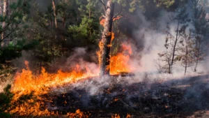 Protecting Indoor Air Quality from Brush Fires